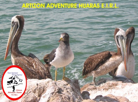 Islas Ballestas